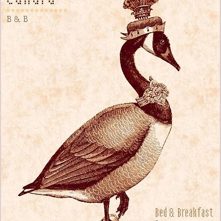 Madame Canard 巴韦诺 外观 照片