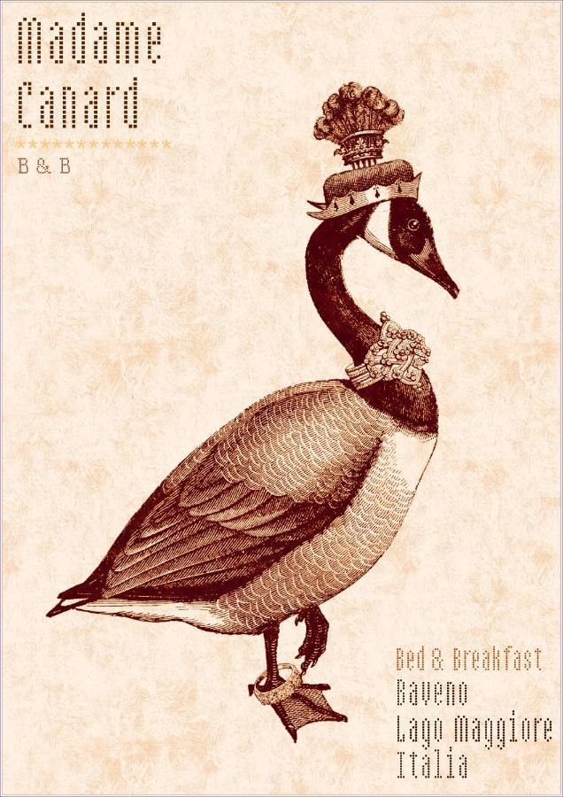 Madame Canard 巴韦诺 外观 照片